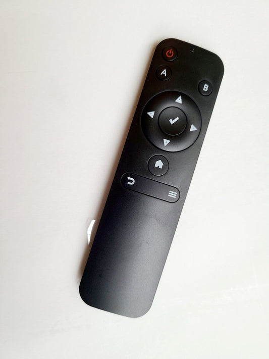 Ford F150 DVD Remote Control (2018-2023)